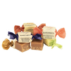 Songbirds Luxury Fudge - assortiment in geschenkdoos van 170 gram (binnenkort leverbaar) - Afbeelding 3